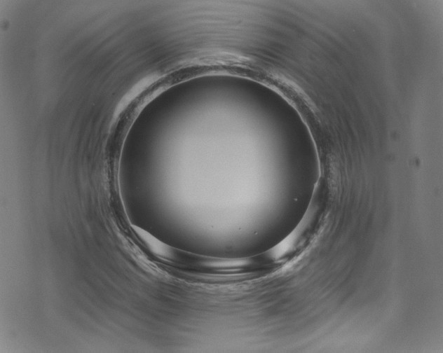 X0000072951114200607211120