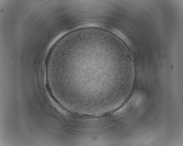 X0000072951127200607211120