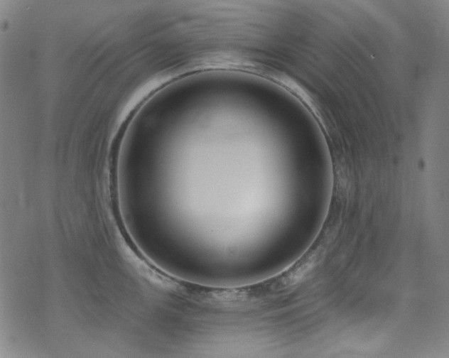 X0000072951147200607211120