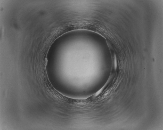 X0000072951153200607211120
