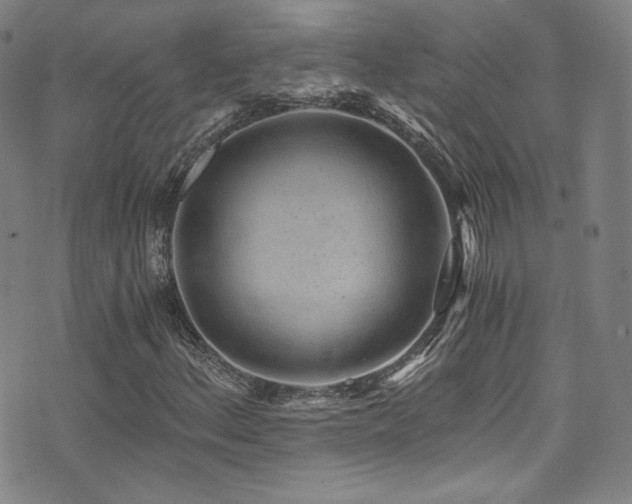X0000072951156200607211120