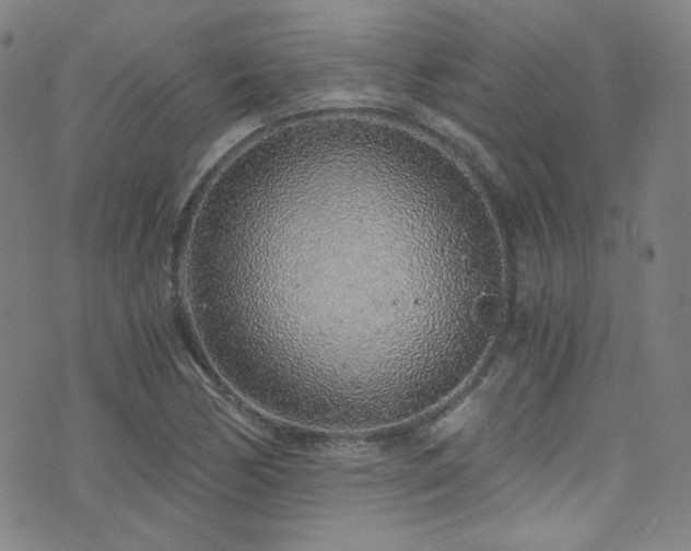 X0000072951170200607211119