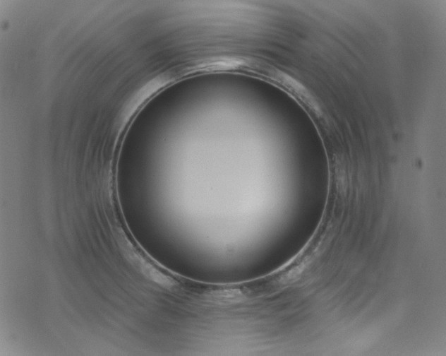 X0000072951186200607211119