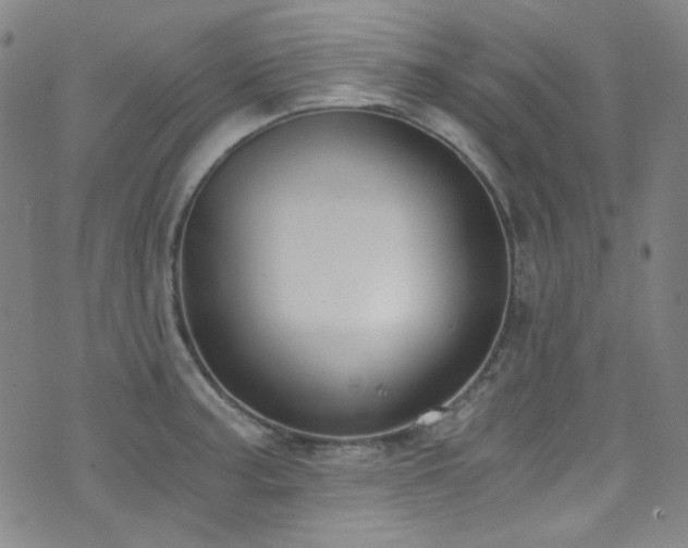 X0000072951187200607211119