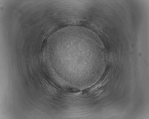 X0000072951202200607211118