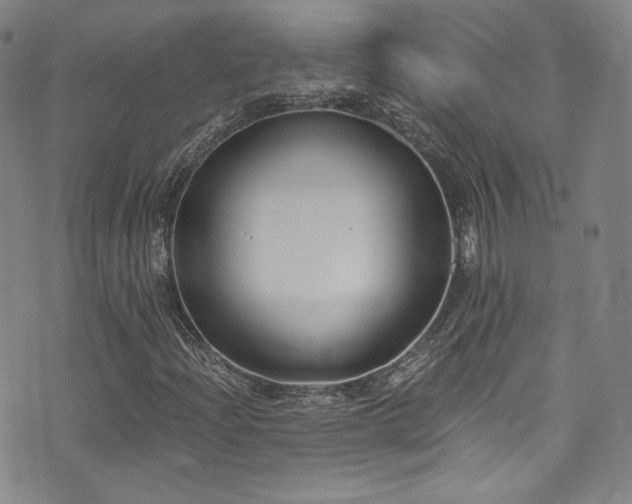 X0000072951204200607211118