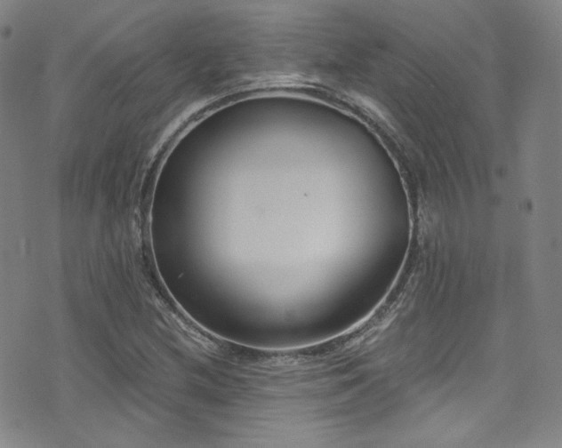X0000072951212200607211118