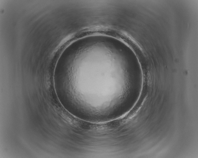 X0000072951213200607211118