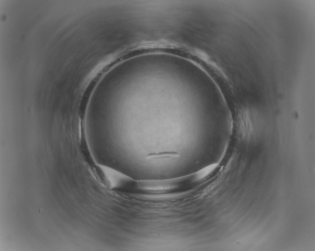 X0000072951221200607211118