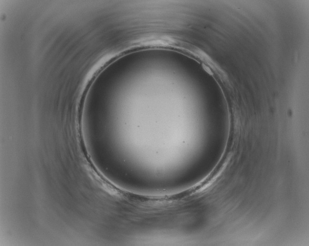 X0000072951240200607211119
