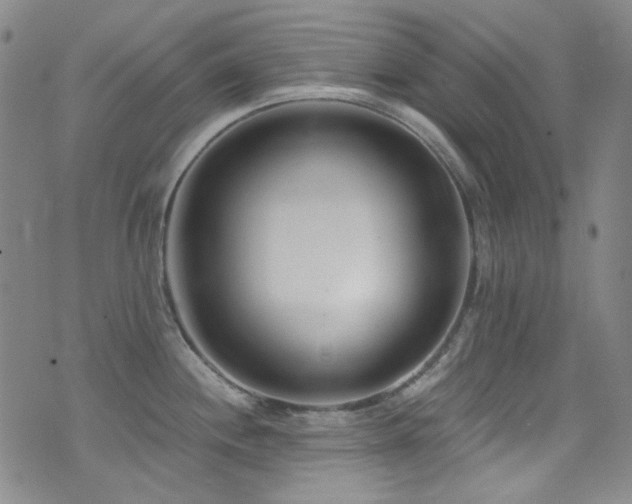 X0000072951244200607211119