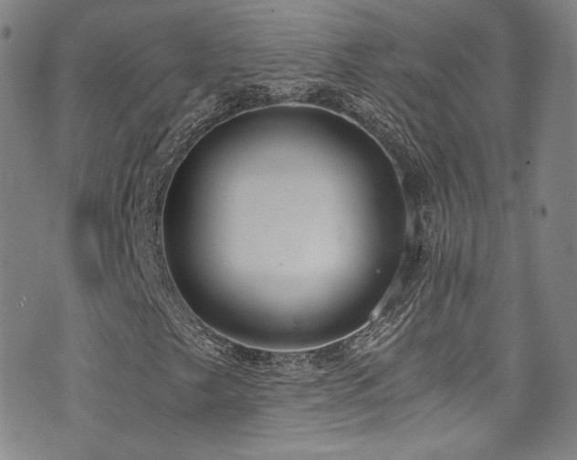 X0000072951249200607211118