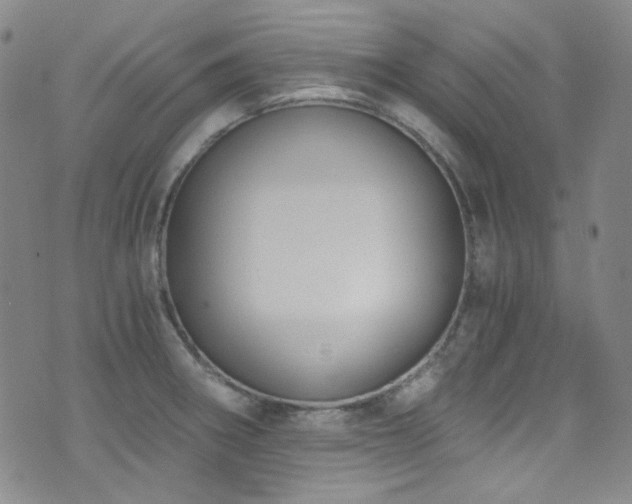 X0000072951282200607211117