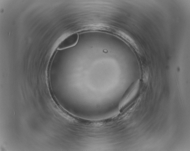 X0000072951283200607211117