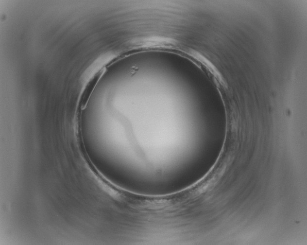 X0000072951285200607211117