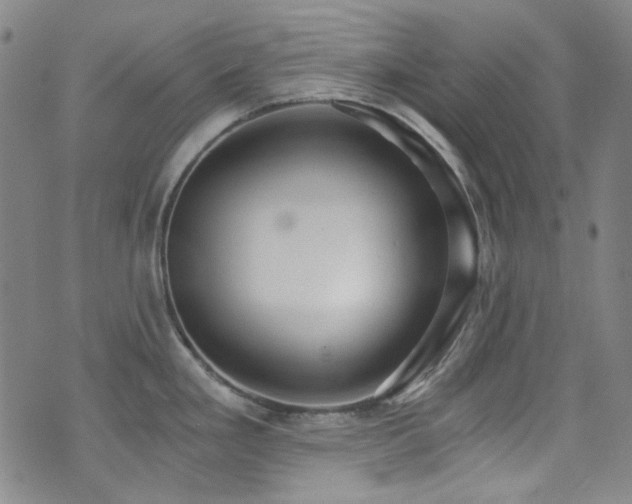 X0000072951293200607211117