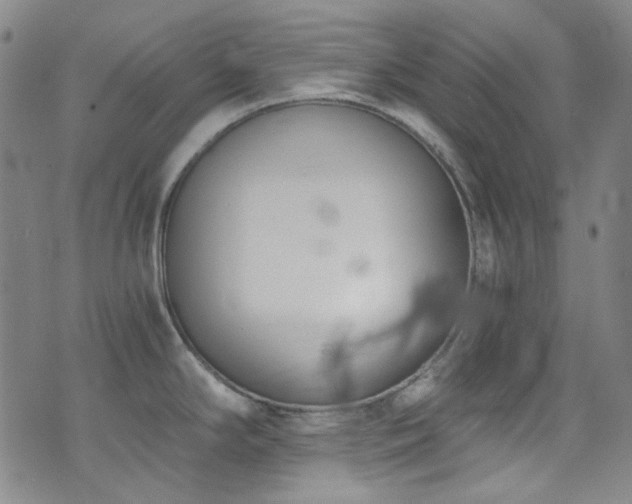 X0000072951294200607211117