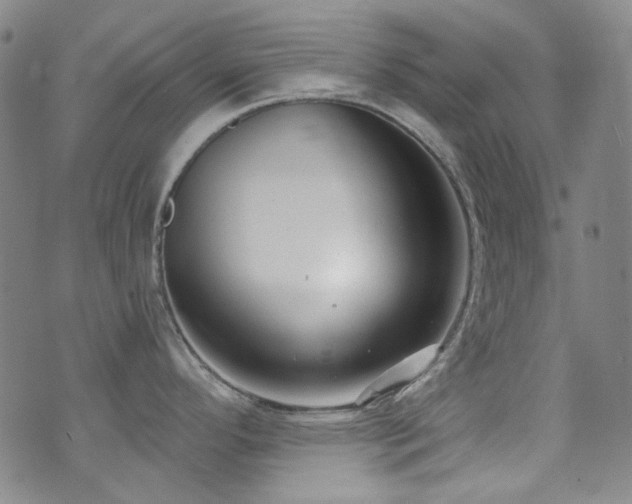 X0000072951296200607211117