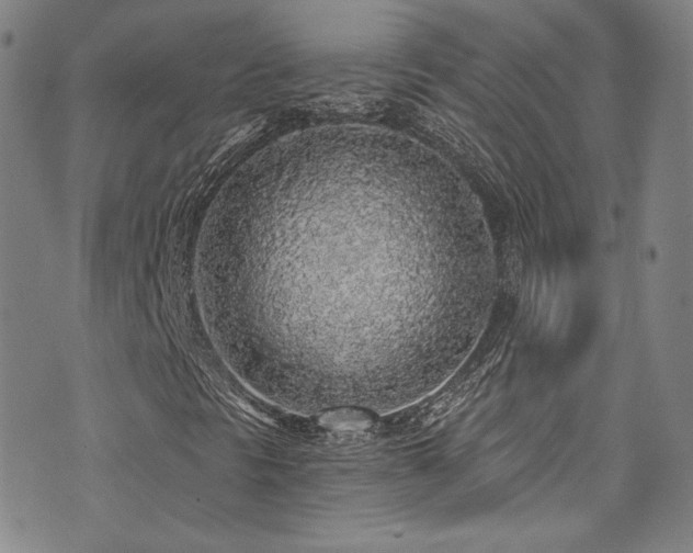 X0000072951297200607211116