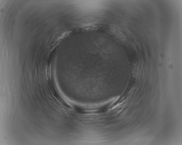 X0000072951298200607211116
