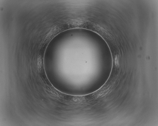 X0000072951299200607211116