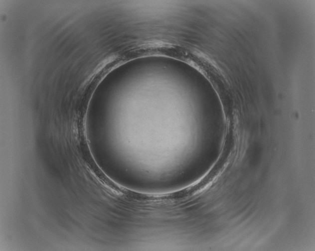 X0000072951305200607211117