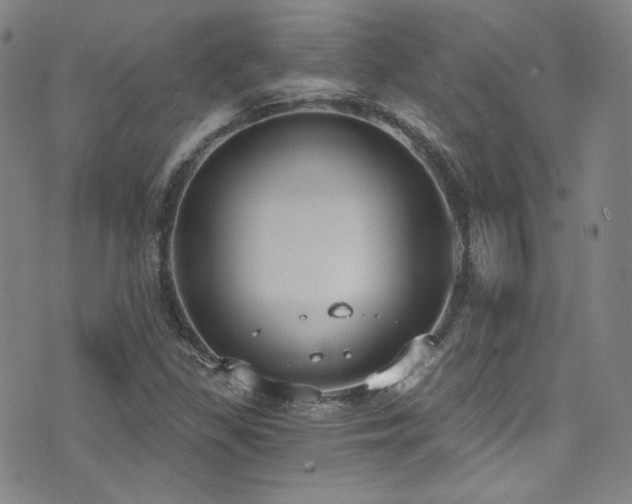 X0000072951309200607211117