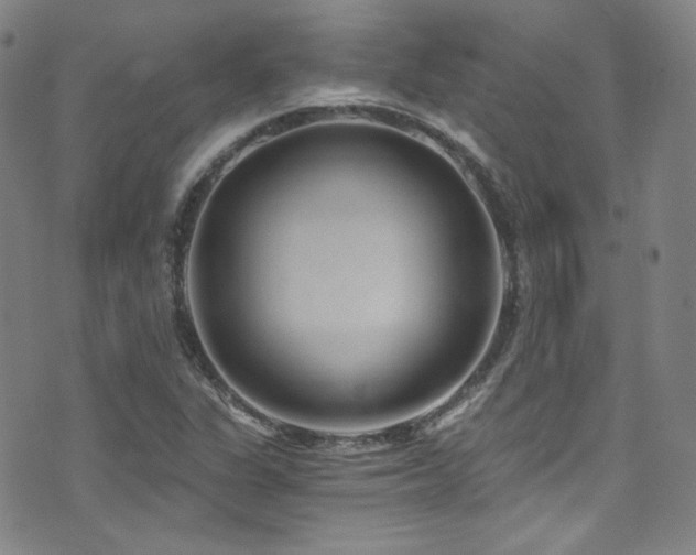 X0000072951311200607211117