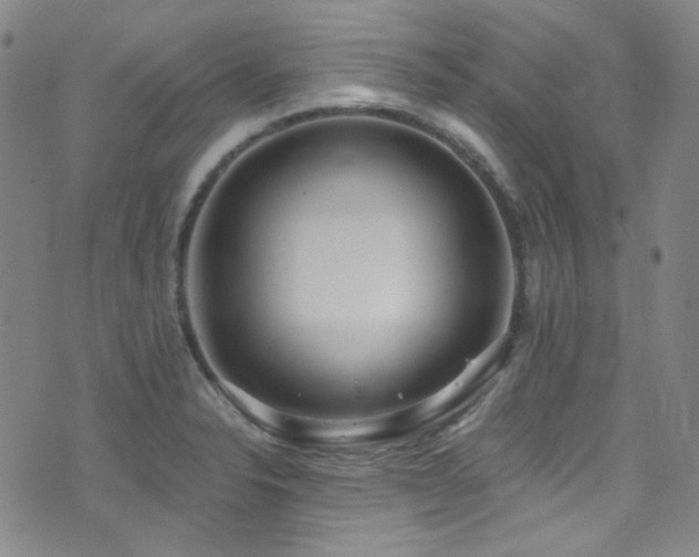X0000072951326200607211117