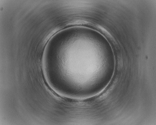 X0000072951329200607211117