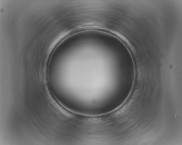 X0000072951333200607211117