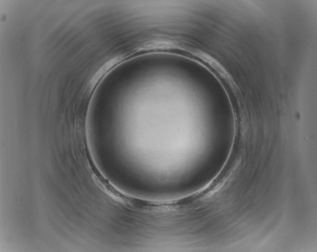 X0000072951337200607211117