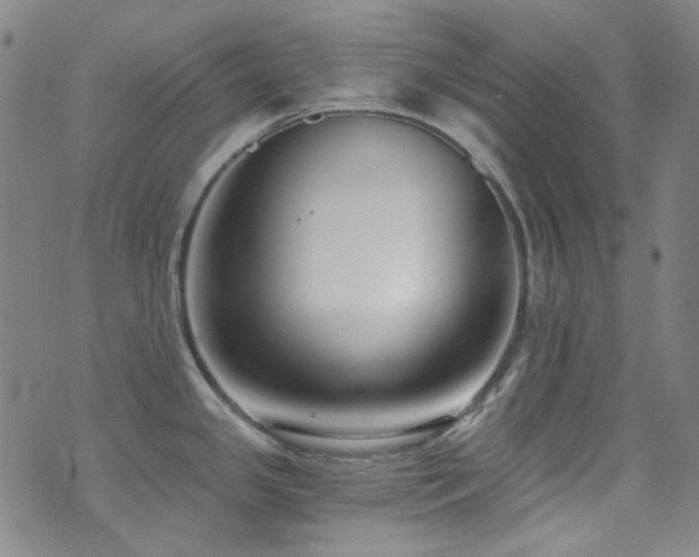 X0000072951341200607211117