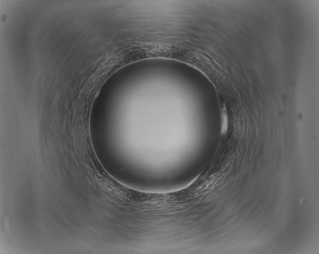 X0000072951345200607211116