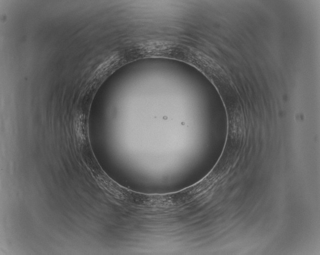 X0000072951346200607211116