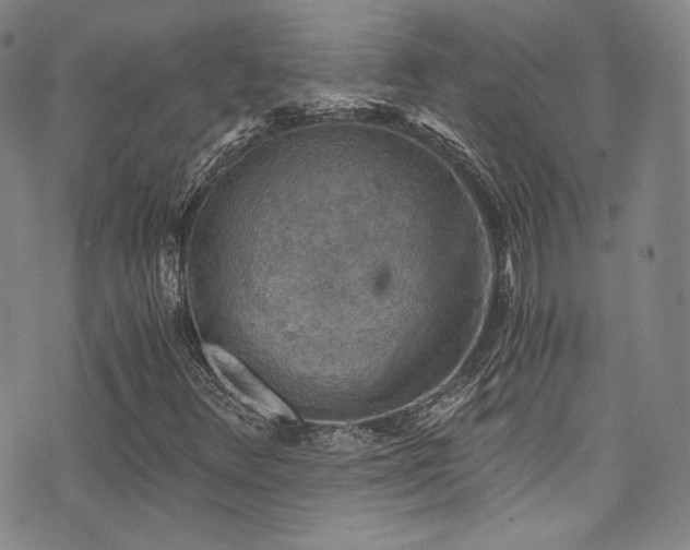 X0000072951348200607211116