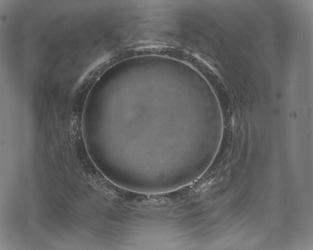 X0000072951351200607211116