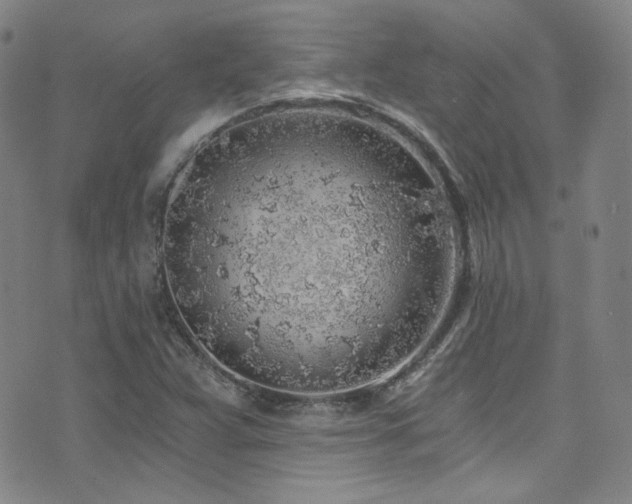 X0000072951359200607211116