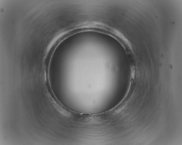 X0000072951368200607211116