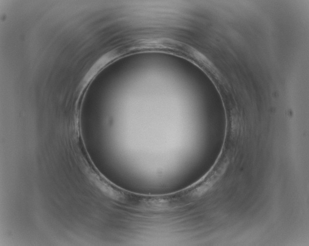 X0000072951370200607211116