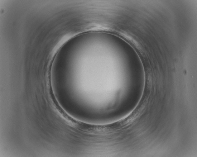 X0000072951375200607211116