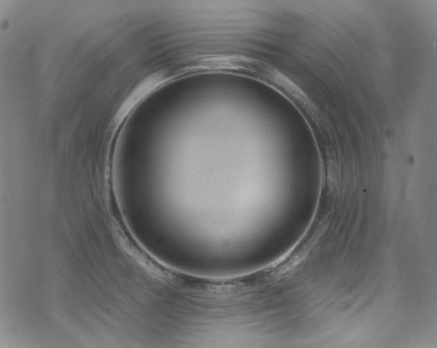 X0000072951378200607211116