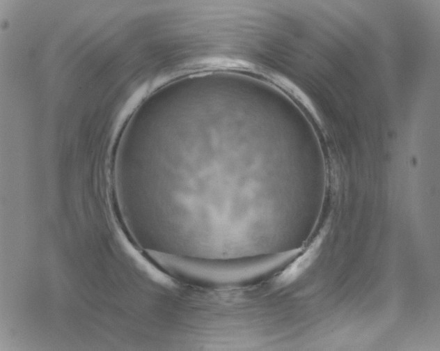 X0000072951381200607211116