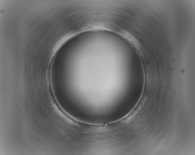 X0000072951382200607211116