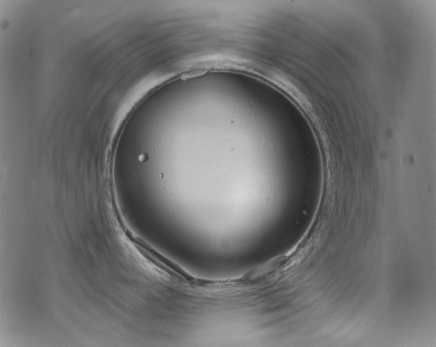 X0000072951392200607211116