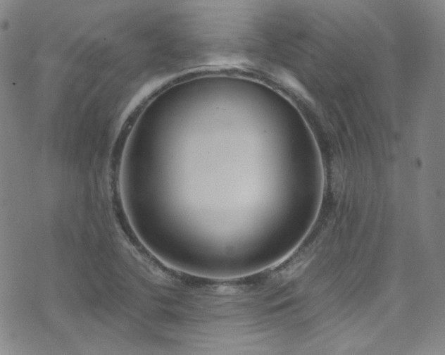 X0000072951412200607211115