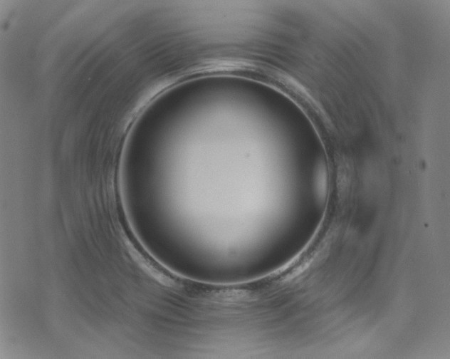 X0000072951417200607211115