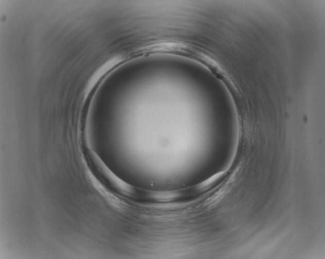 X0000072951426200607211115