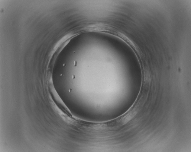 X0000072951434200607211116