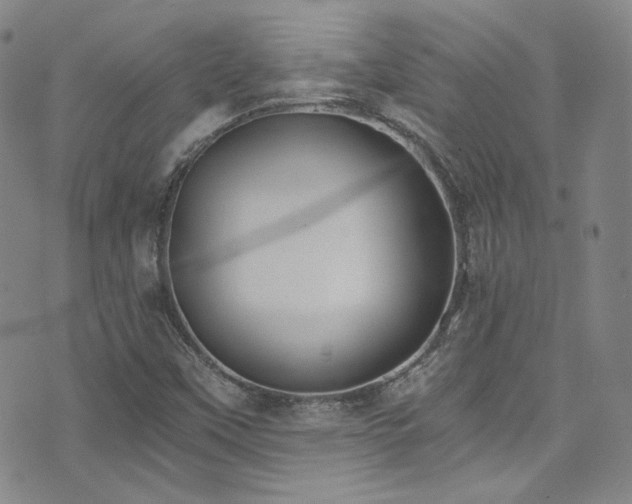 X0000072951451200607211115